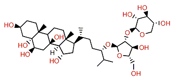 Regulusoside B